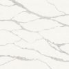 Sleek Alpha Grey – Image 3