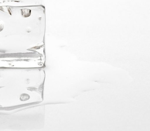 Elegant Pure White – Image 2