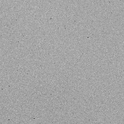 Sleek Light Grey Concrete